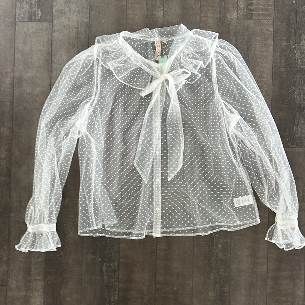 NWT Anthropologie Dolan Sheer Top, size 3x